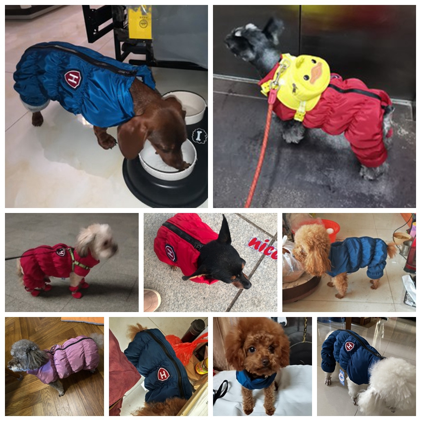 防水ジッパー式スノーユニセックスパンツ,青,紫,ペットジャケ - Baby Clothing Winter のレビューと価格